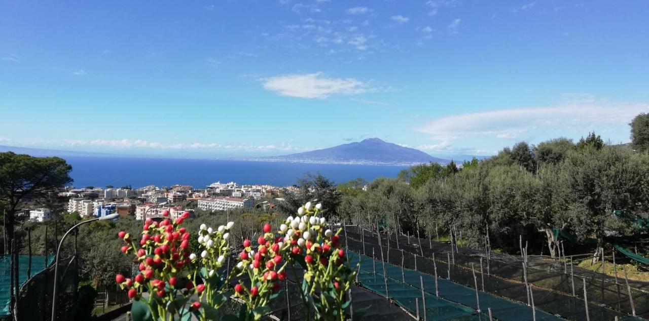 Ferienwohnung Sorrento Dolce Casa Exterior foto