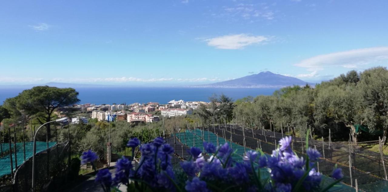 Ferienwohnung Sorrento Dolce Casa Exterior foto